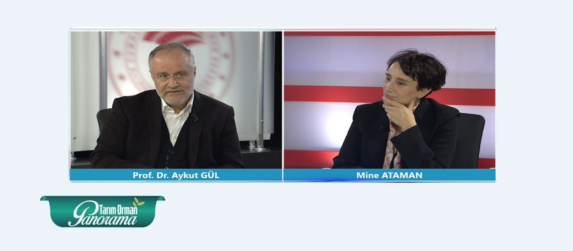 Tarım Orman Panorama 21. Bölüm