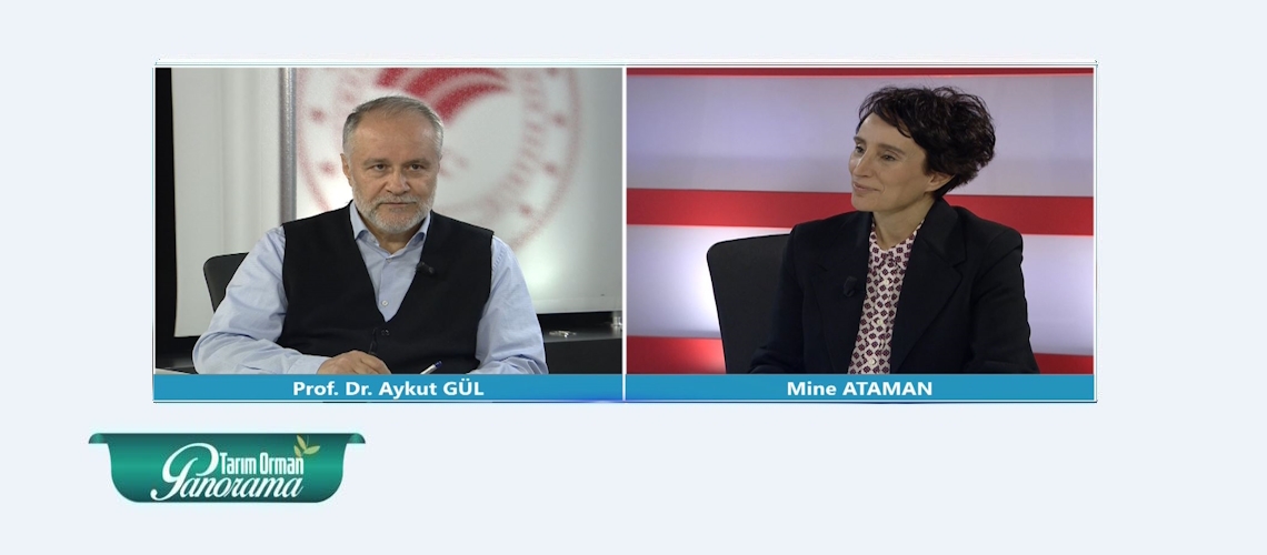 Tarım Orman Panorama 22. Bölüm