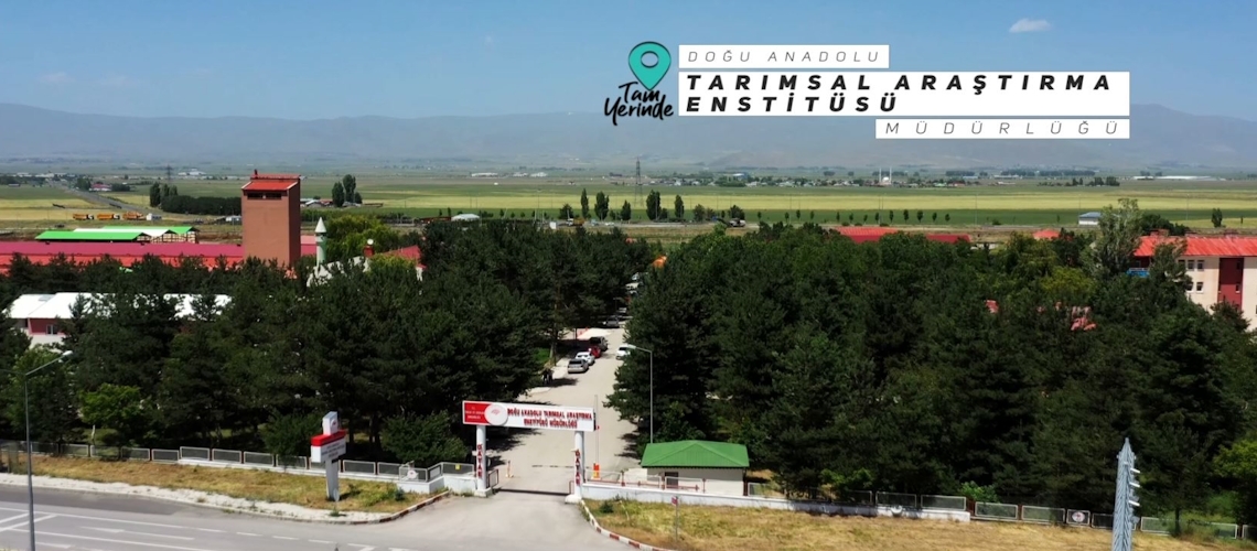 Tam Yerinde 5. Bölüm (Doğu Anadolu Tarımsal Araştırma Enstitüsü Müdürlüğü-Erzurum)