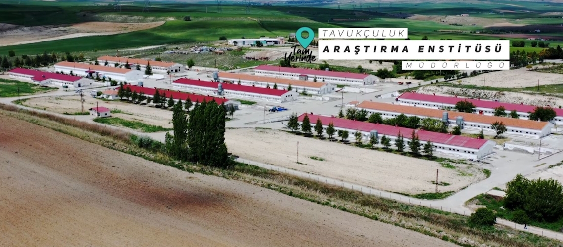 Tam Yerinde 7. Bölüm (Tavukçuluk Araştırma Enstitüsü Müdürlüğü-Ankara)