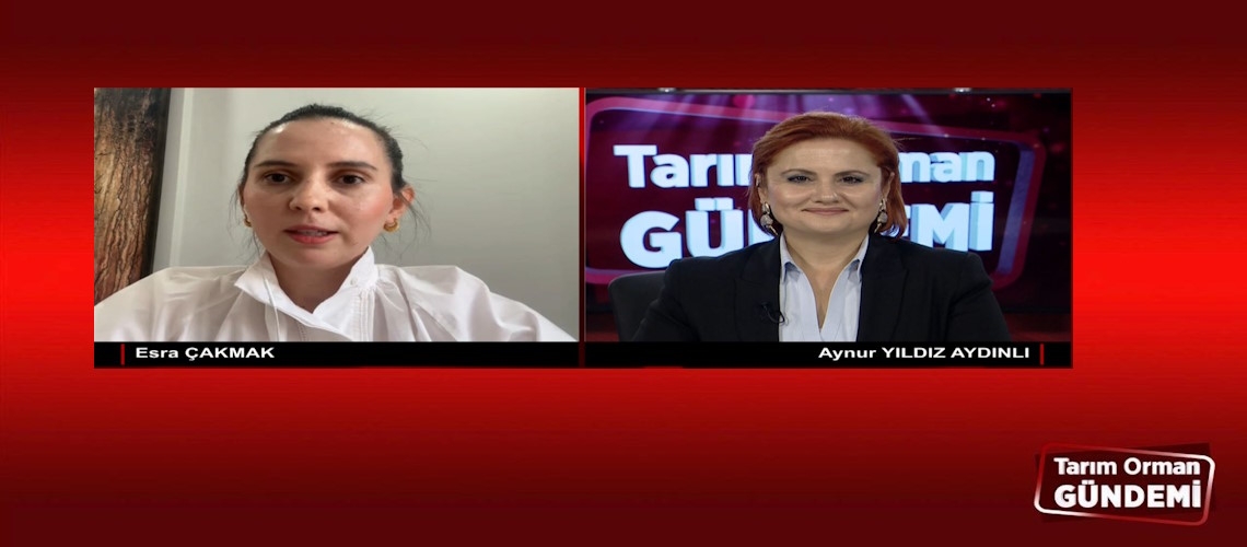 Tarım Orman Gündemi 12.11.2024