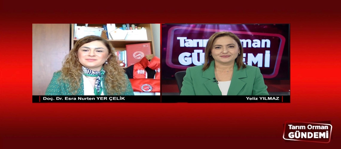 Tarım Orman Gündemi 11.11.2024