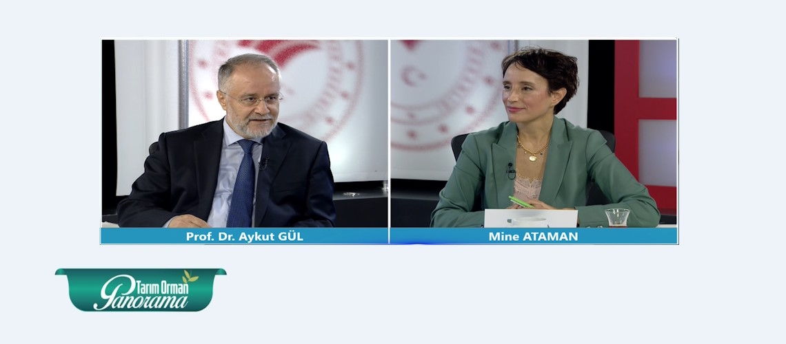 Tarım Orman Panorama 6.Bölüm