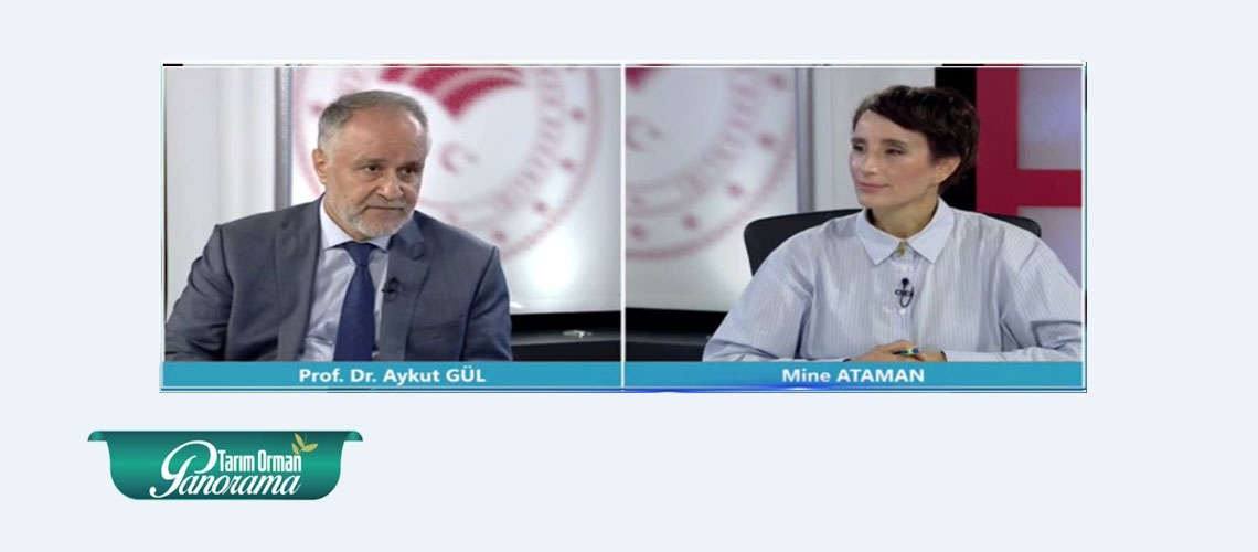 Tarım Orman Panorama 7. Bölüm