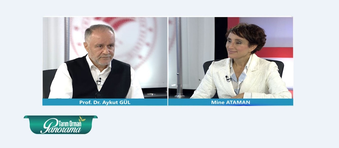 Tarım Orman Panorama 9. Bölüm