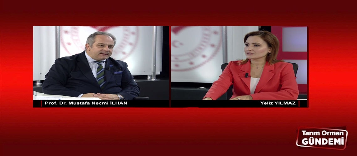 Tarım Orman Gündemi 13.12.2024