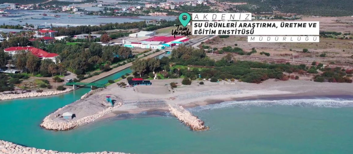 Tam Yerinde 1. Bölüm (Akdeniz Su Ürünleri Araştırma, Üretme ve Eğitim Enstitüsü Müdürlüğü-Antalya)