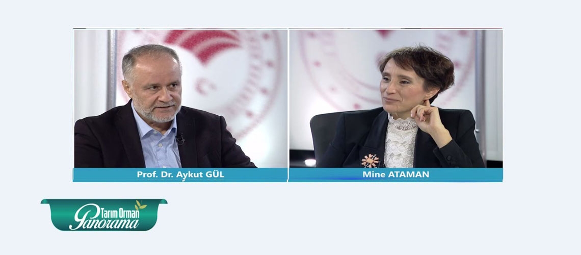 Tarım Orman Panorama 11. Bölüm