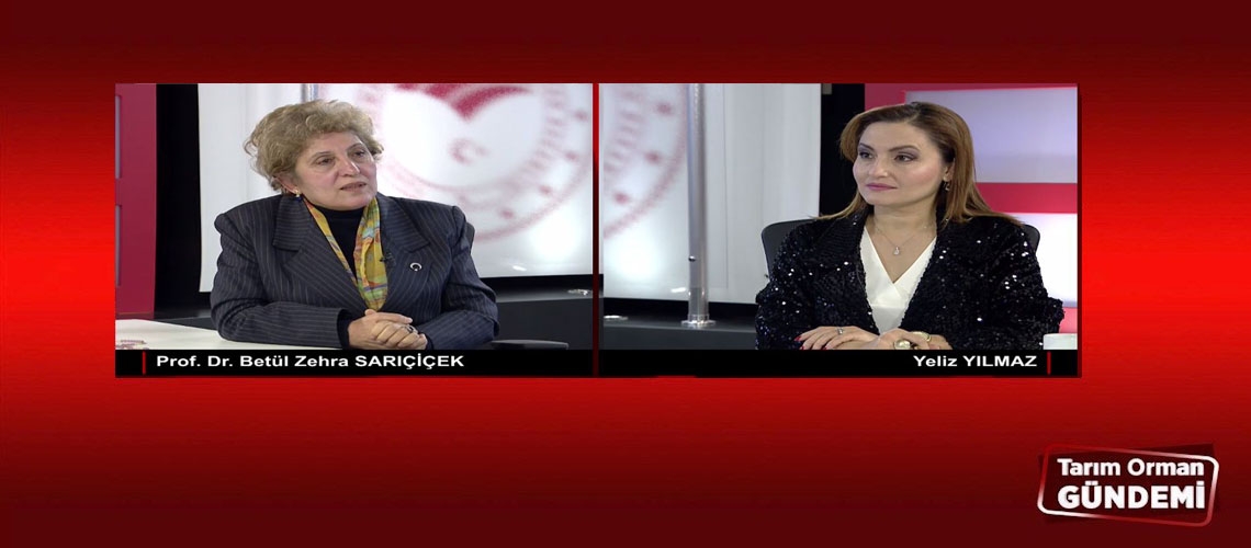 Tarım Orman Gündemi 31.12.2024