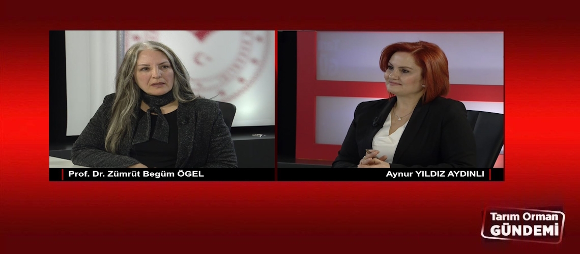 Tarım Orman Gündemi 13.03.2025