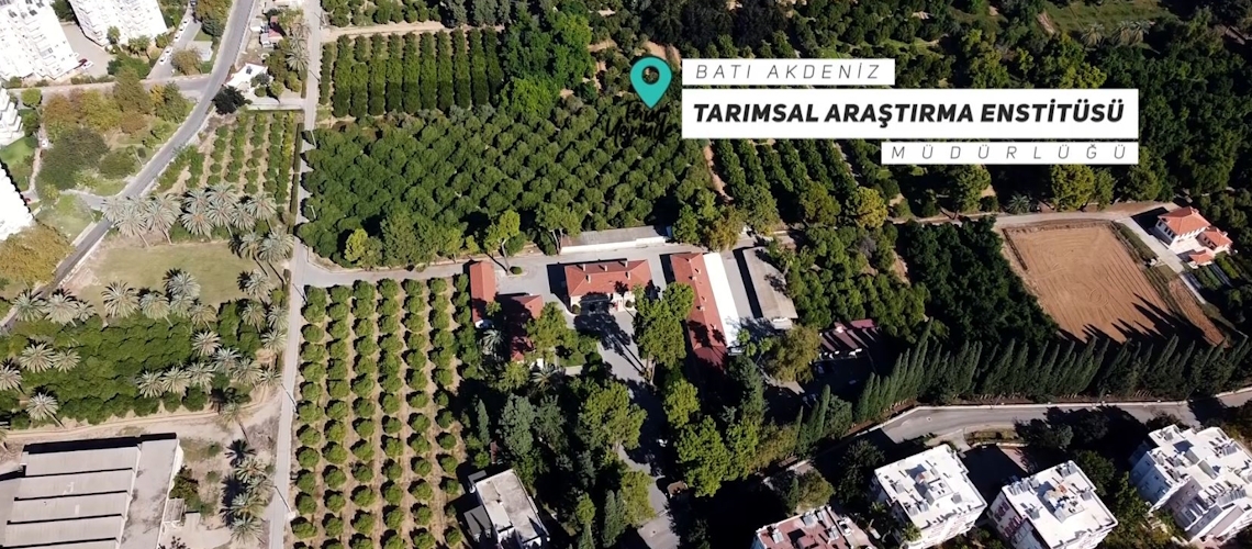 Tam Yerinde 11. Bölüm (Batı Akdeniz Tarımsal Araştırma Enstitüsü Müdürlüğü-Antalya)