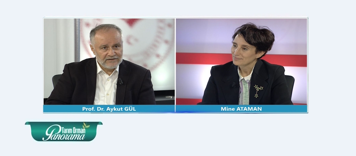 Tarım Orman Panorama 23. Bölüm