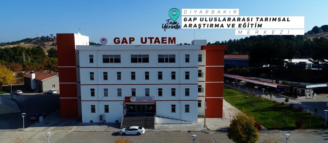 Tam Yerinde 2. Bölüm (Diyarbakır GAP Uluslararası Tarımsal Araştırma ve Eğitim Merkezi)