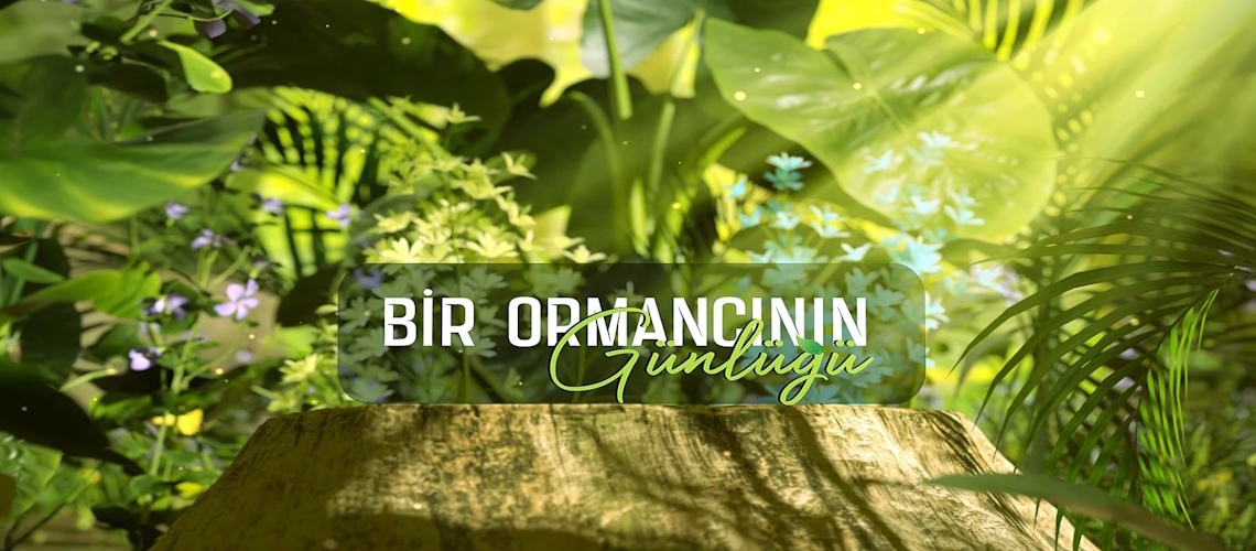 Bir Ormancının Günlüğü - Tanıtım