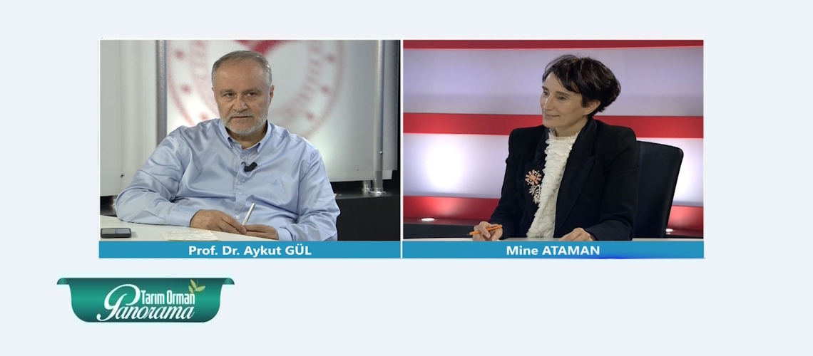 Tarım Orman Panorama 24. Bölüm