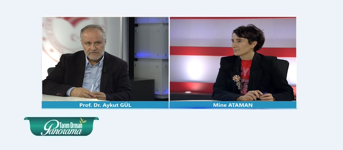 Tarım Orman Panorama 25. Bölüm