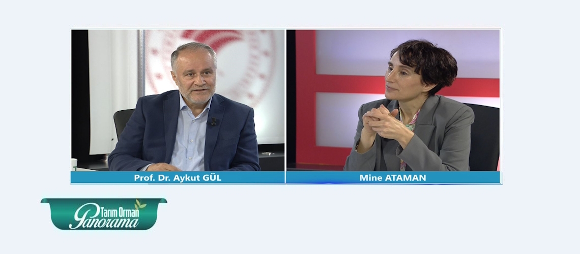 Tarım Orman Panorama 26. Bölüm