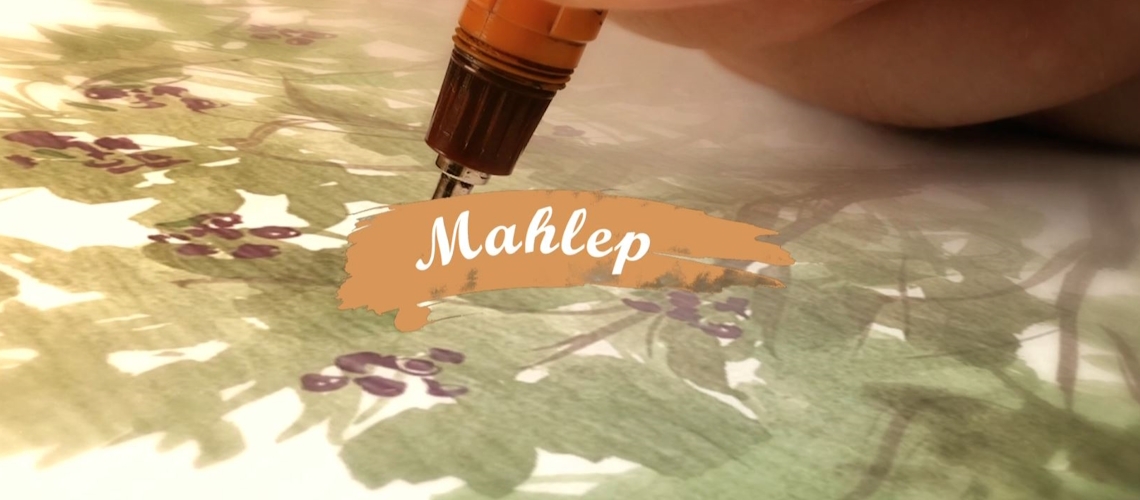 Şehrin En Köklüsü 