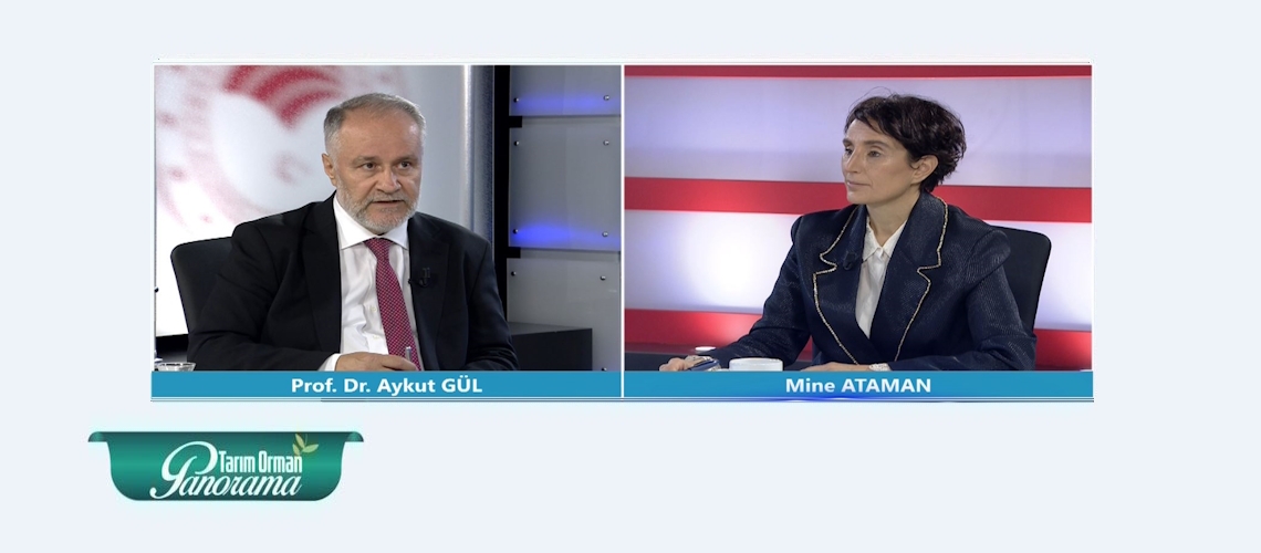 Tarım Orman Panorama 29. Bölüm