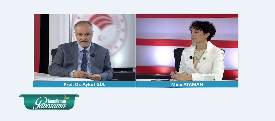 Tarım Orman Panorama 31. Bölüm