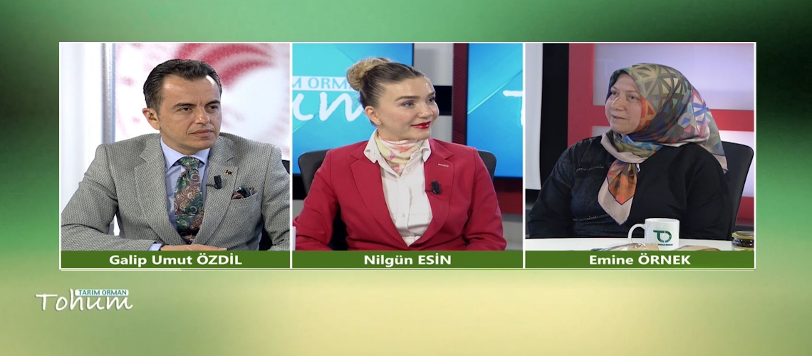 Tarım Orman Tohum 17.Bölüm (Emine ÖRNEK)