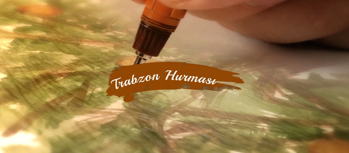 Şehrin En Köklüsü 