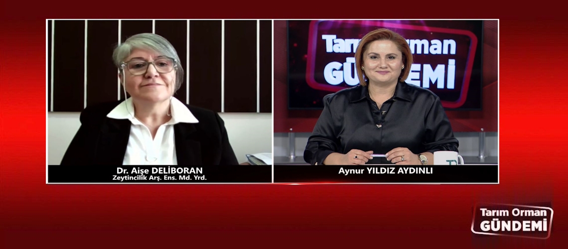 Tarım Orman Gündemi 13.11.2025