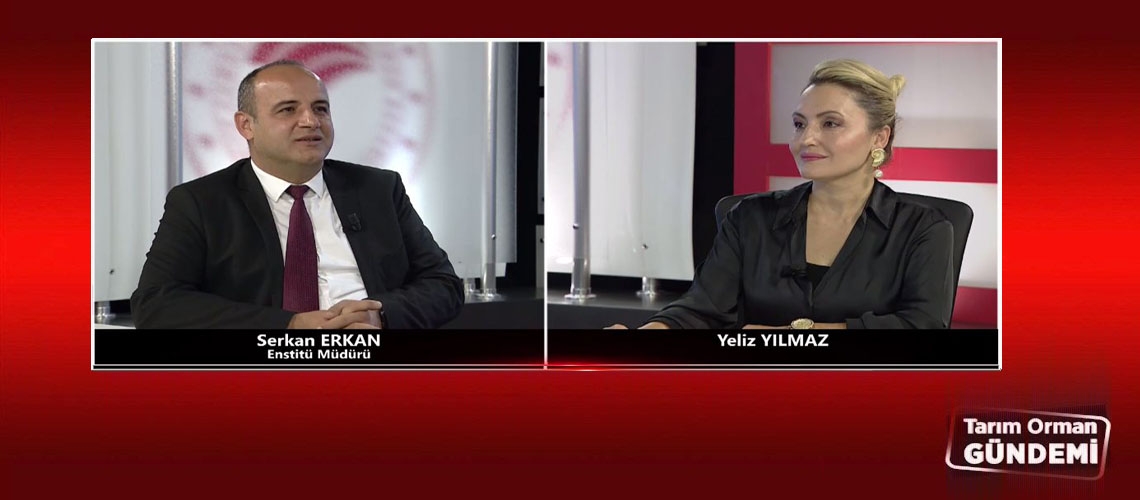 Tarım Orman Gündemi 19.11.2025