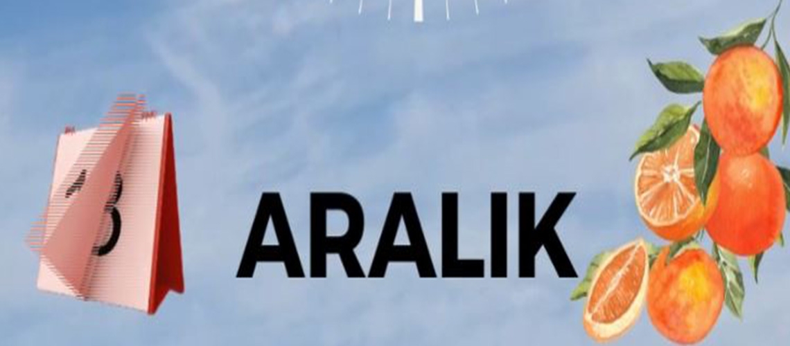 Tam Zamanı - Aralık Ayı Tarım Takvimi