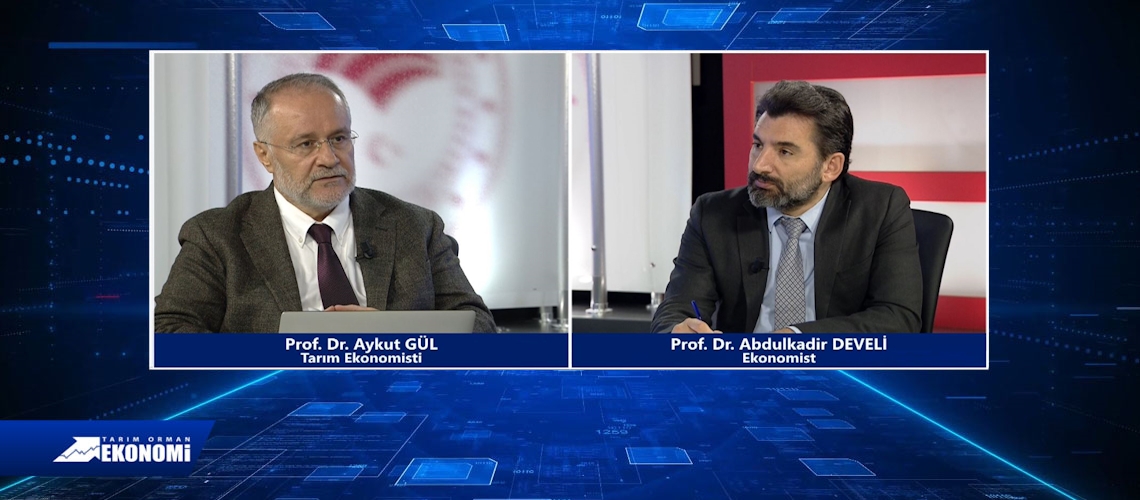 Tarım Orman Ekonomi 9.Bölüm