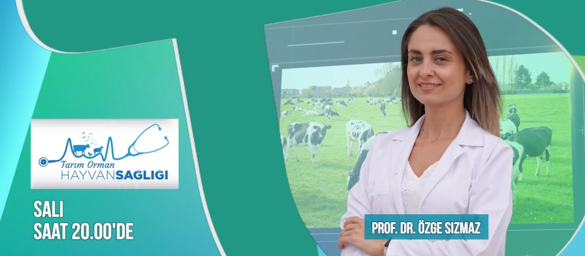 Tarım Orman Hayvan Sağlığı - Tanıtım
