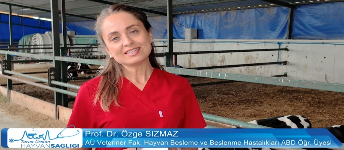 Tarım Orman Hayvan Sağlığı 2.Bölüm