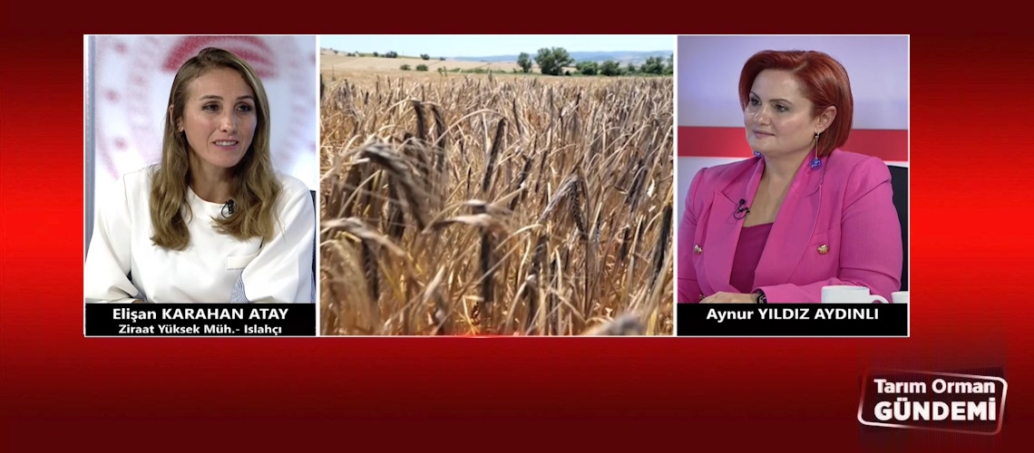 Tarım Orman Gündemi 15.10.2025