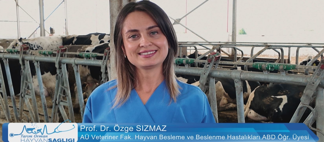 Tarım Orman Hayvan Sağlığı 3.Bölüm