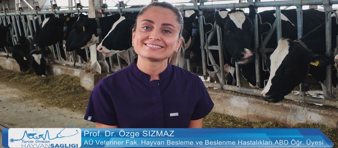 Tarım Orman Hayvan Sağlığı 4.Bölüm