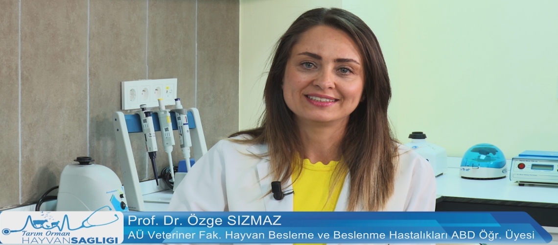 Tarım Orman Hayvan Sağlığı 9.Bölüm