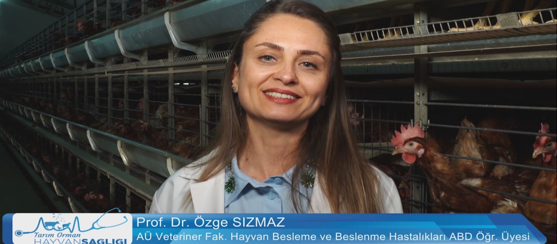 Tarım Orman Hayvan Sağlığı 10.Bölüm