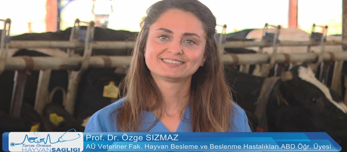 Tarım Orman Hayvan Sağlığı 11.Bölüm