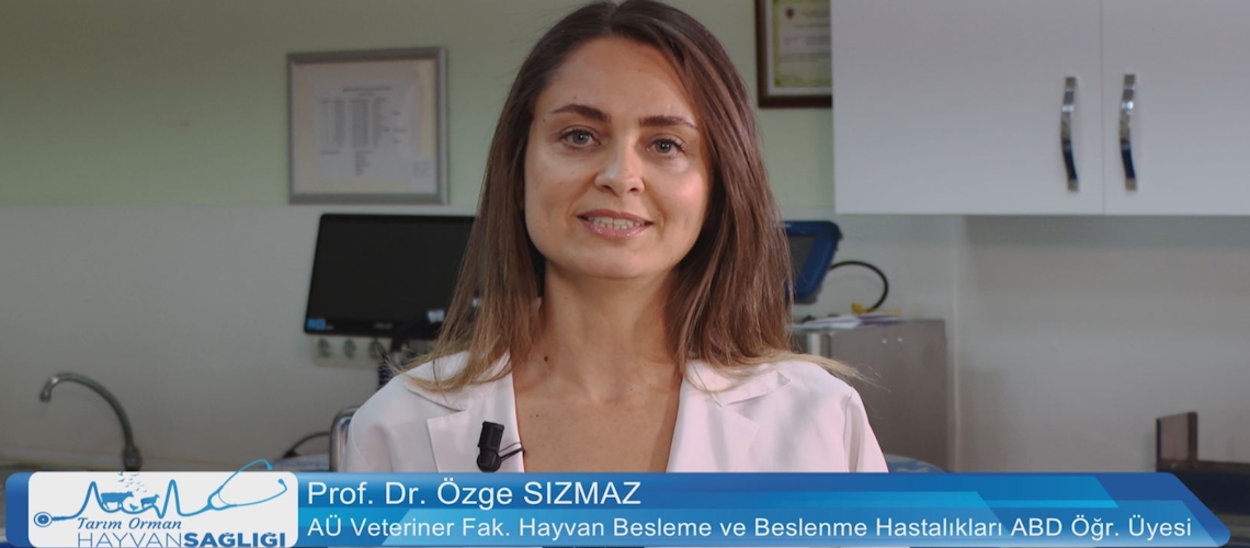 Tarım Orman Hayvan Sağlığı 12.Bölüm