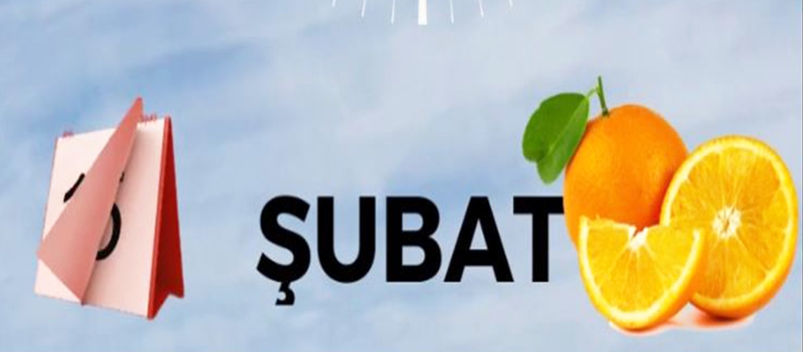 Tam Zamanı - Şubat Ayı Tarım Takvimi