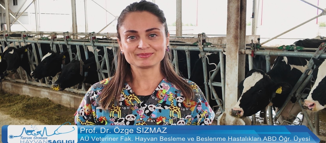 Tarım Orman Hayvan Sağlığı 5.Bölüm