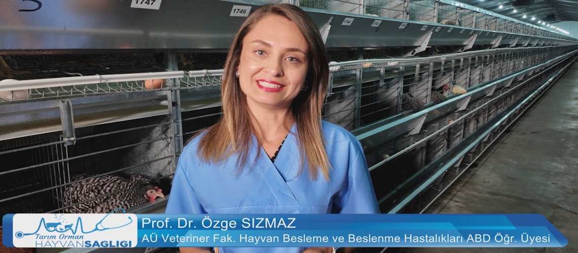 Tarım Orman Hayvan Sağlığı 6.Bölüm