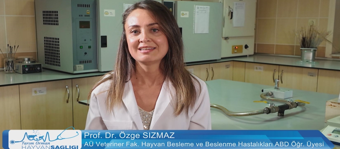 Tarım Orman Hayvan Sağlığı 7.Bölüm