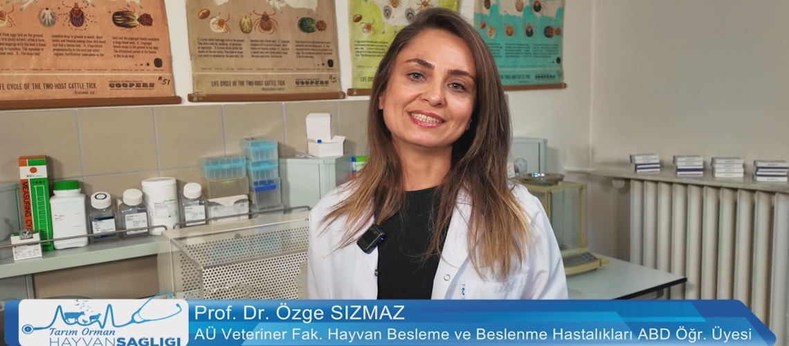 Tarım Orman Hayvan Sağlığı 8.Bölüm
