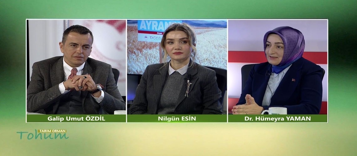 Tarım Orman Tohum 7.Bölüm (Dr. Hümeyra YAMAN)