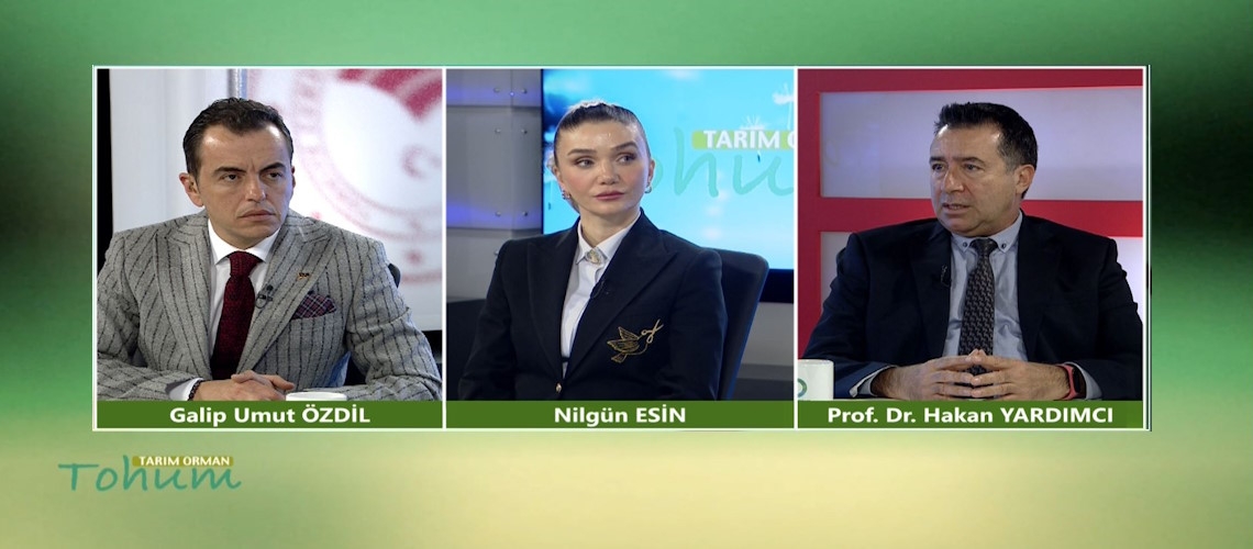 Tarım Orman Tohum 3.Bölüm (Prof. Dr. Hakan YARDIMCI)