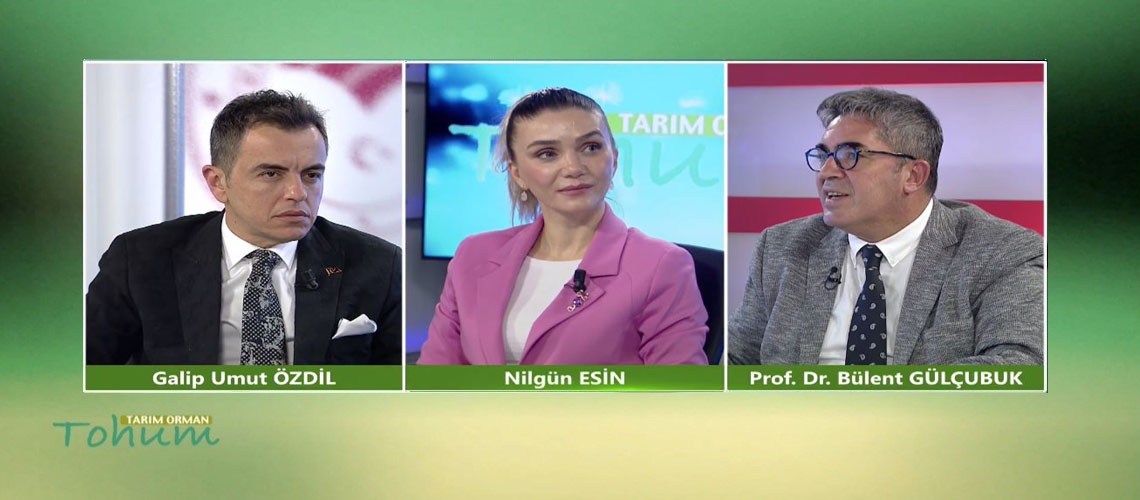 Tarım Orman Tohum 5.Bölüm (Prof. Dr. Bülent GÜLÇUBUK)