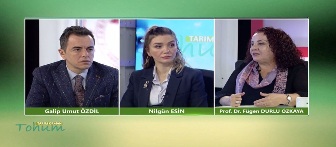 Tarım Orman Tohum 6.Bölüm (Prof. Dr. Fügen DURLU ÖZKAYA)