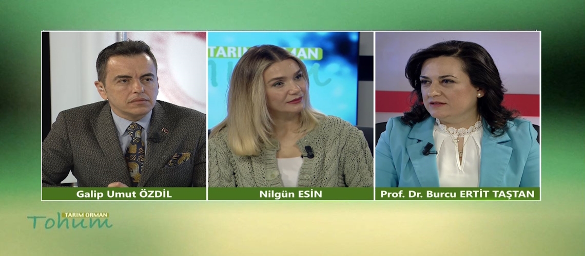 Tarım Orman Tohum 13.Bölüm (Prof. Dr. Burcu ERTİT TAŞTAN)
