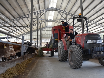 Devlet desteğiyle besi çiftliği kurdular
